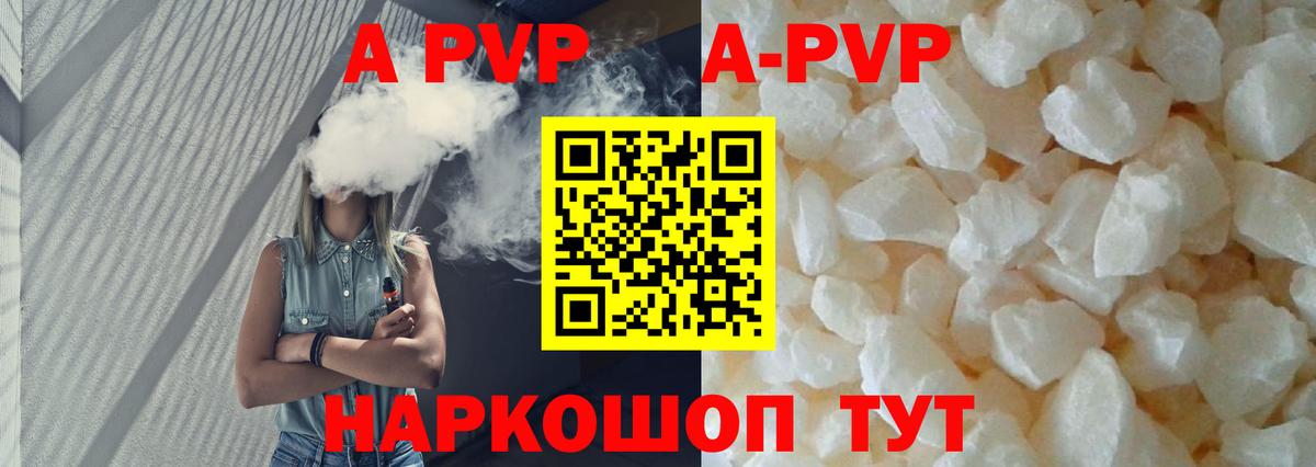 Alfa_PVP СК Саратов