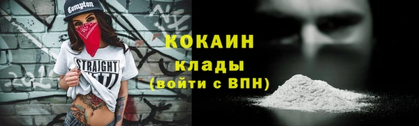 гашик Нея