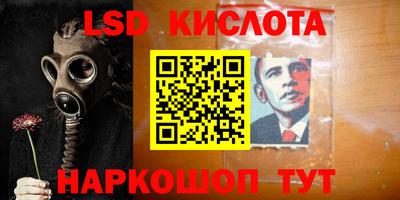 прущие грибы Азнакаево