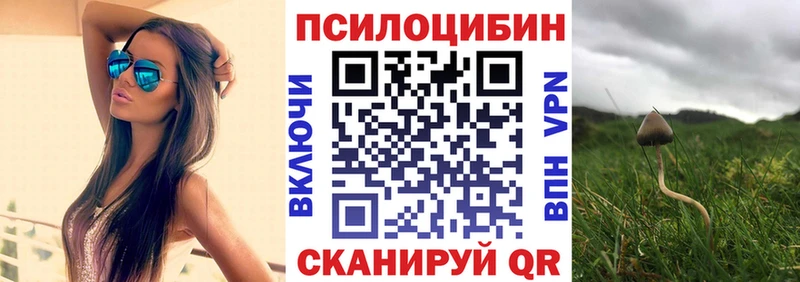 Псилоцибиновые грибы Cubensis  купить   Саратов 