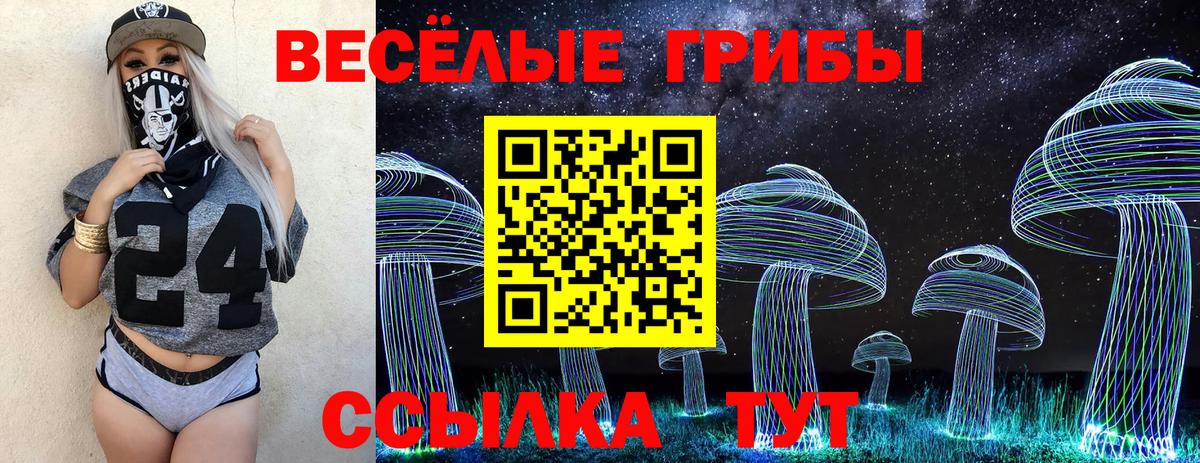 Псилоцибиновые грибы ЛСД  Саратов  где найти наркотики  Псилоцибиновые грибы Magic Shrooms 