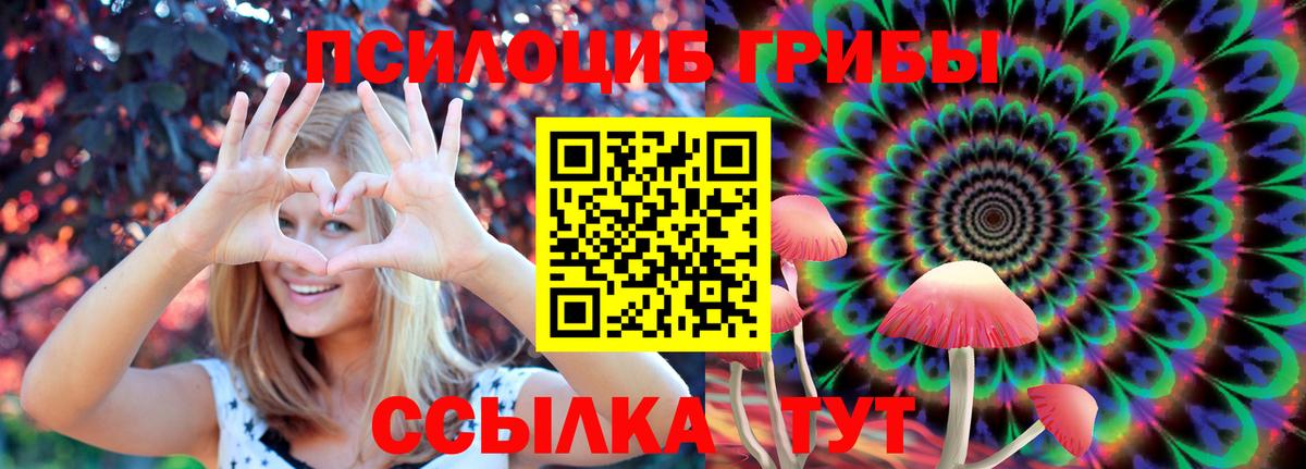 Галлюциногенные грибы GOLDEN TEACHER Саратов